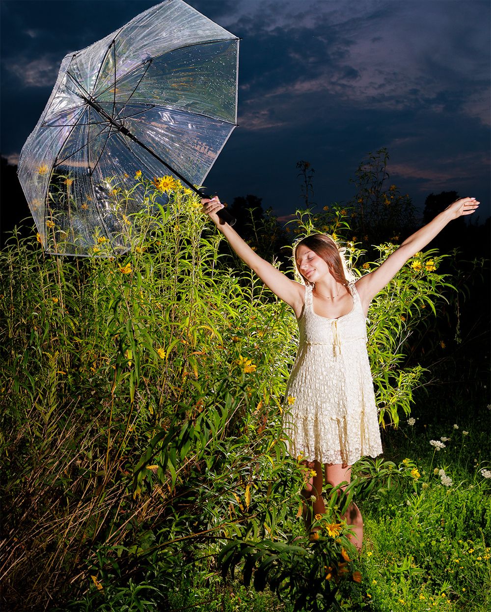 Person holding clear umbrella in wildflower field at dusk with dramatic sky.