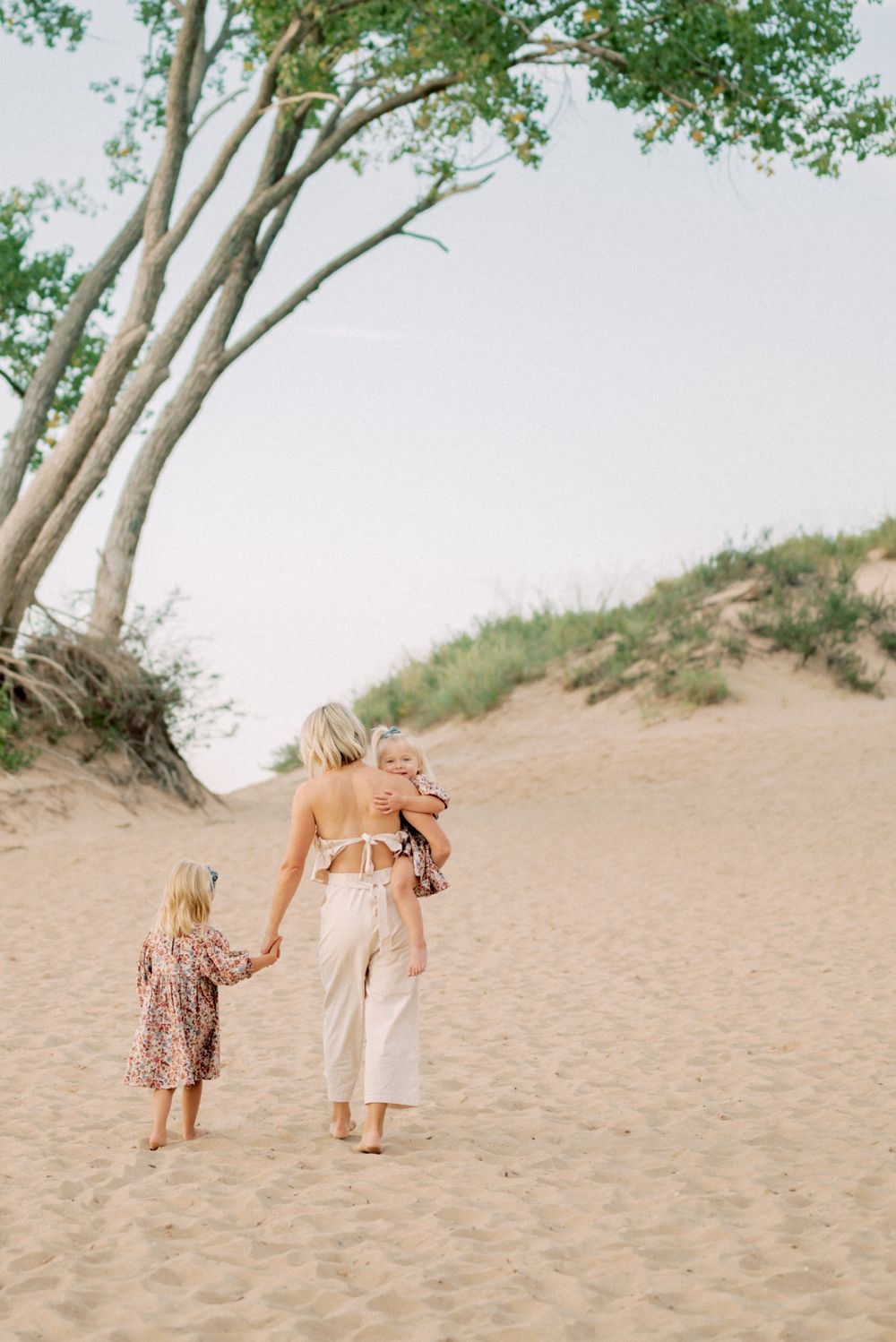 Family walking together on sandy beach path with tall birch tree on a sunny summer day.
