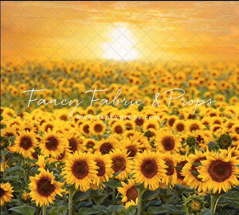 Golden sunflowers stretch across a vast field beneath a warm sunset sky, creating a stunning natural landscape.