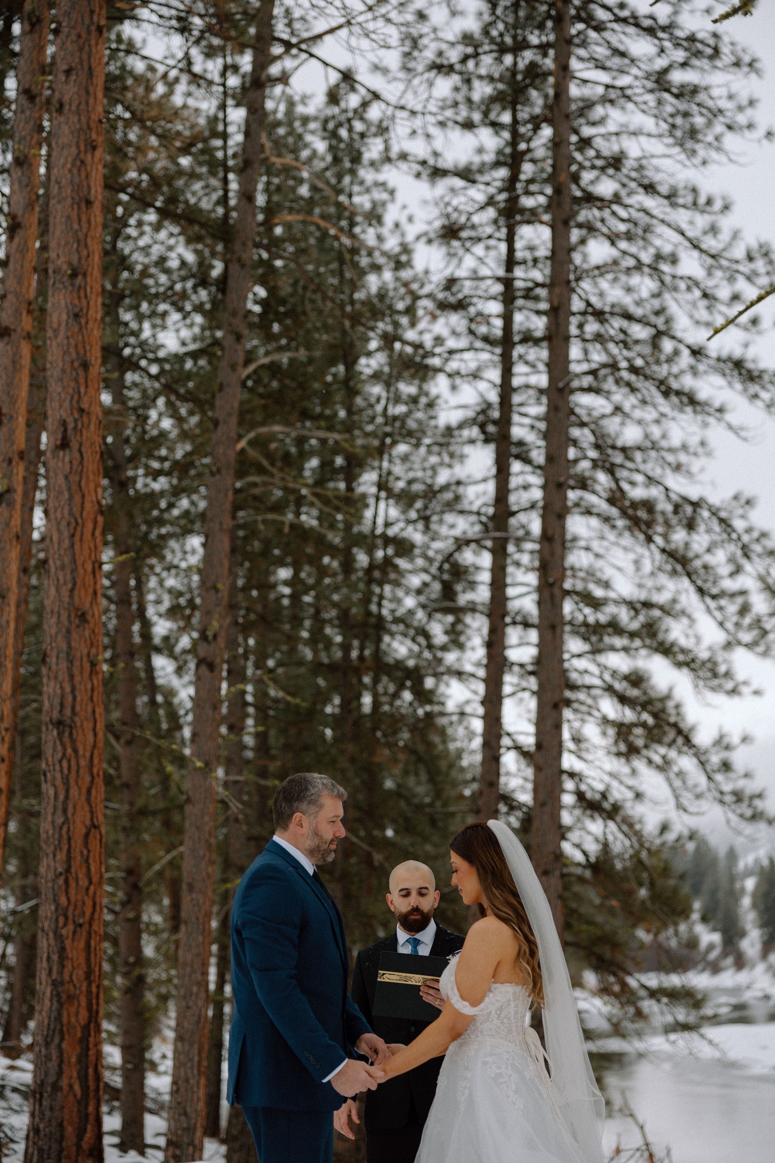 A wedding ceremony unfolds among tall pine trees in a snowy mountain landscape.