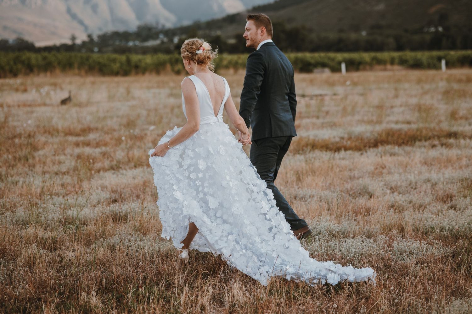 A couple in wedding attire walks through a golden field with mountains in the background.