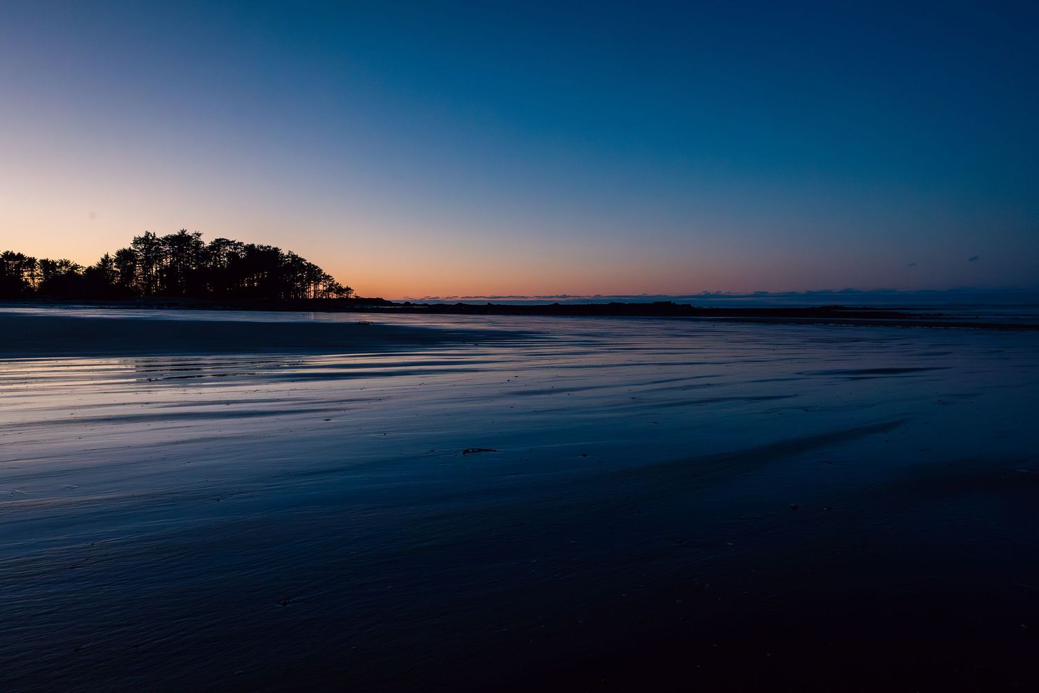 Tranquil beach landscape at dusk with dark sand, silhouetted trees, and orange sunset reflecting on calm ocean waters.