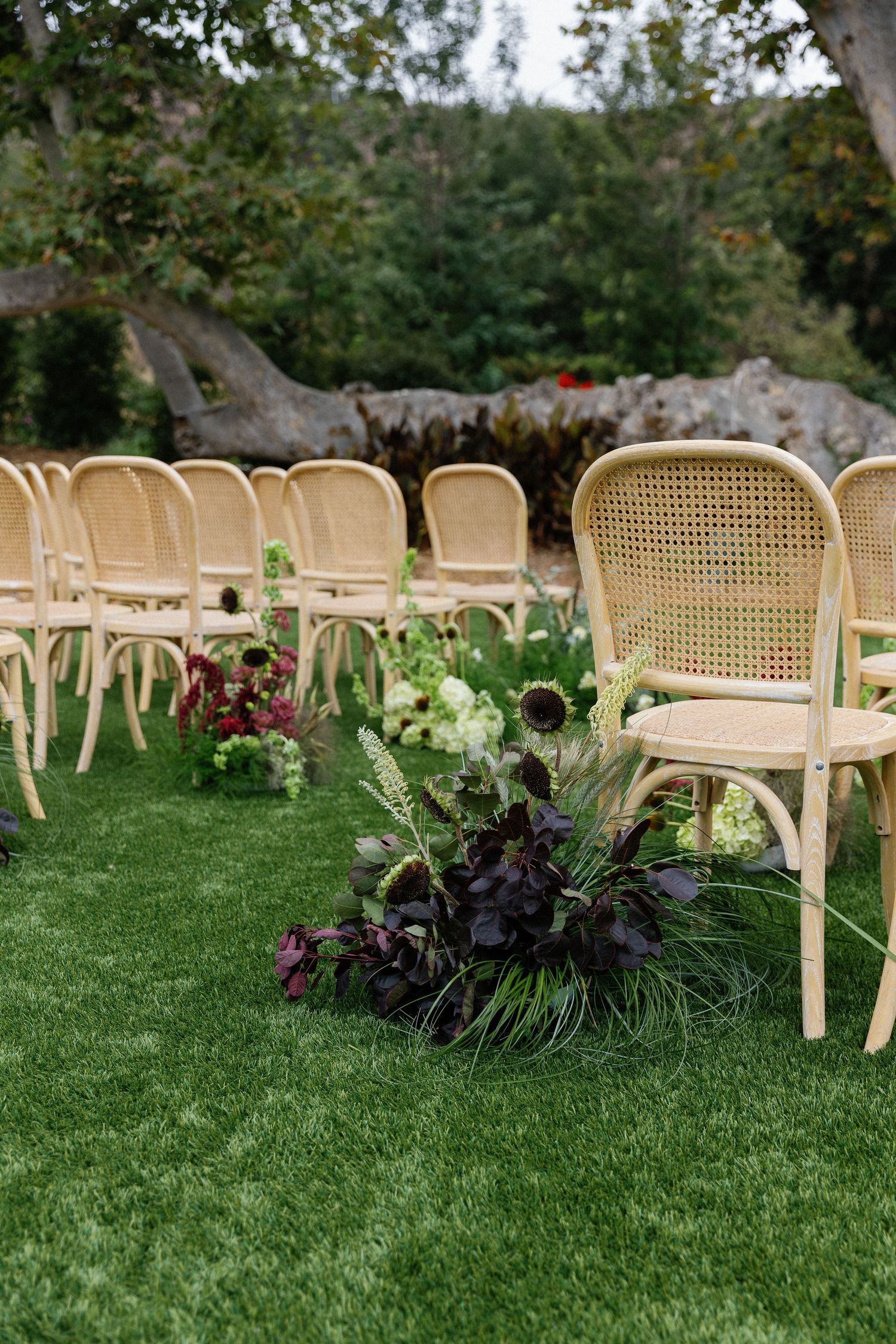 Elegant rattan chairs set up on green lawn for outdoor ceremony with moody purple floral arrangements along the aisle.