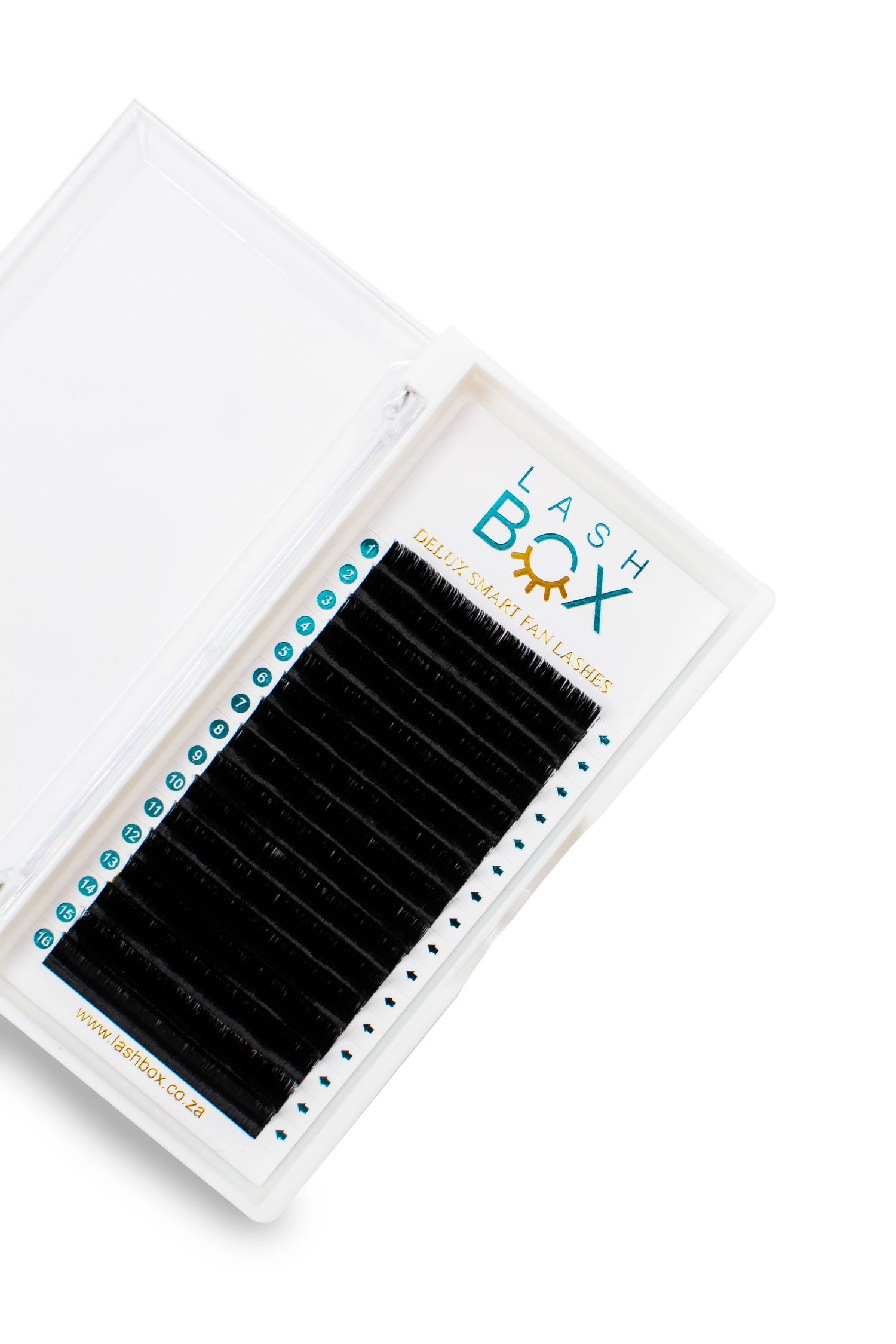 Professional eyelash extension kit in white case with rows of black synthetic lashes.