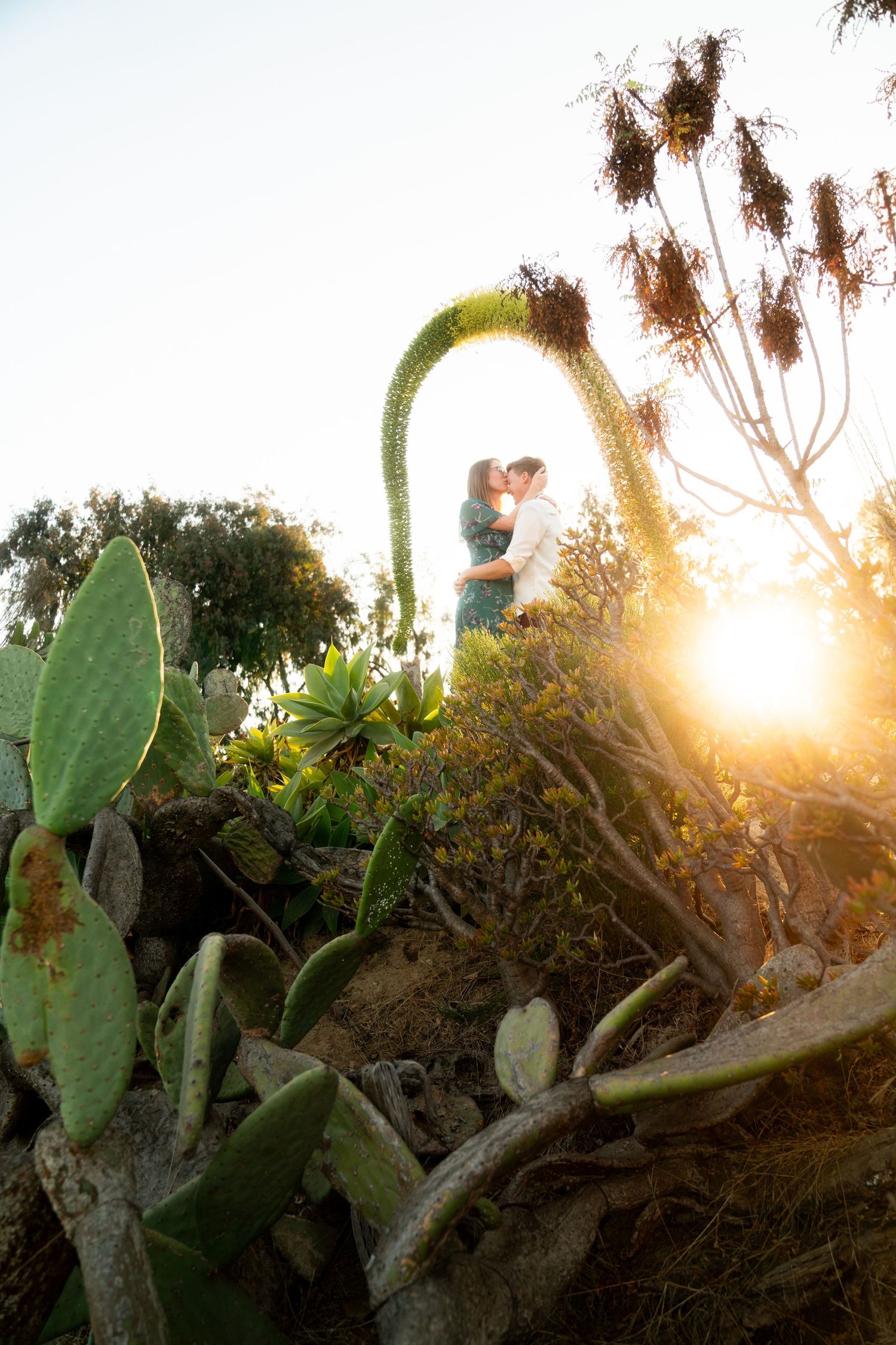 A picturesque sunset scene through cactus plants with a silhouetted couple embracing under an arched structure.