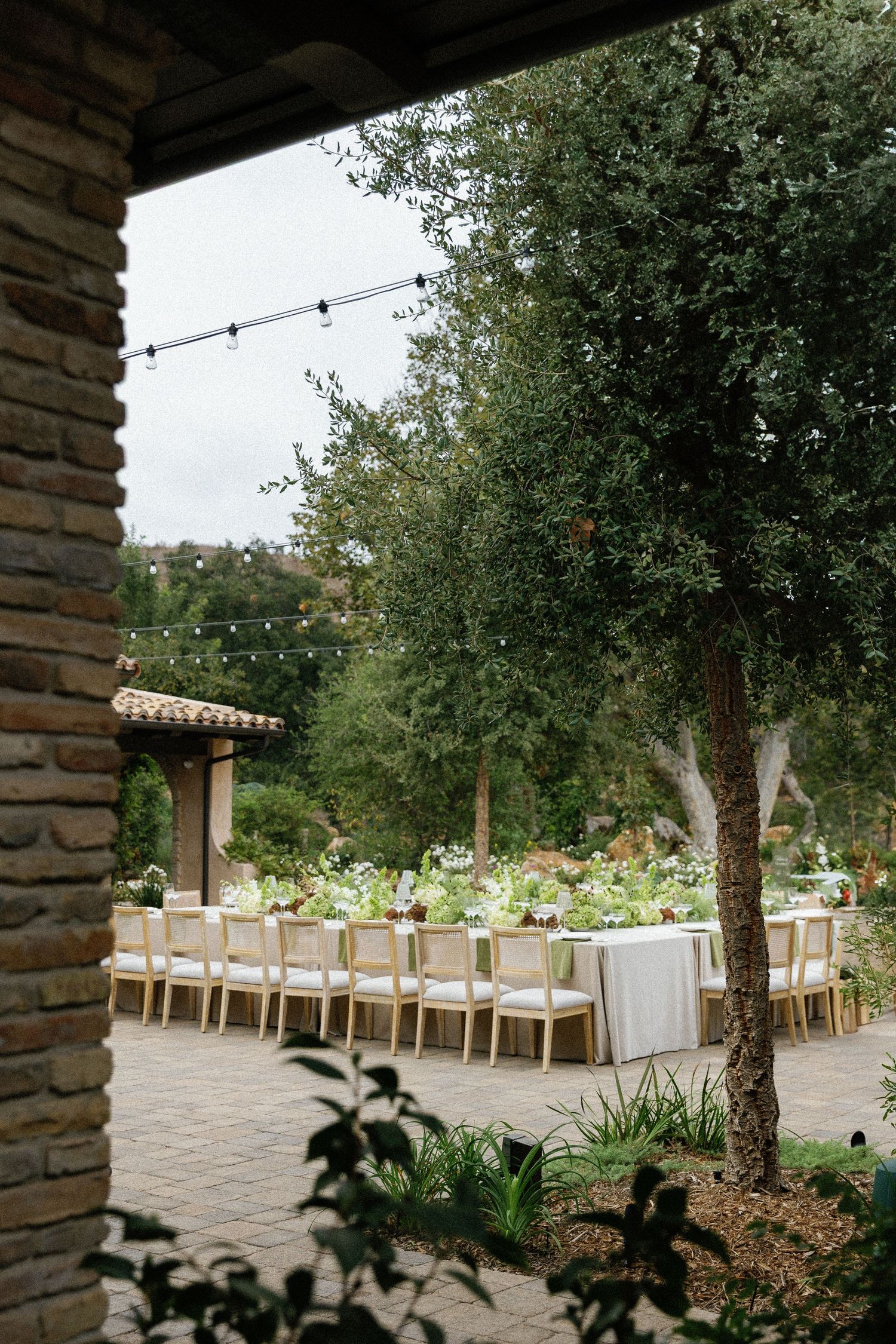 Elegant outdoor wedding reception setup with long tables and chairs under string lights and olive trees on a stone patio.