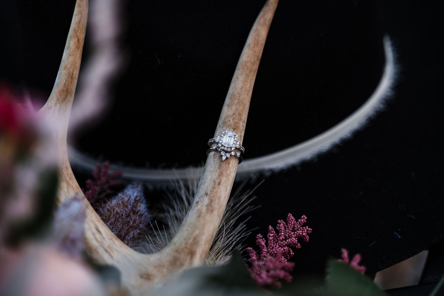 Diamond engagement ring displayed on antlers with delicate pink flowers and cobwebs in dark moody setting.