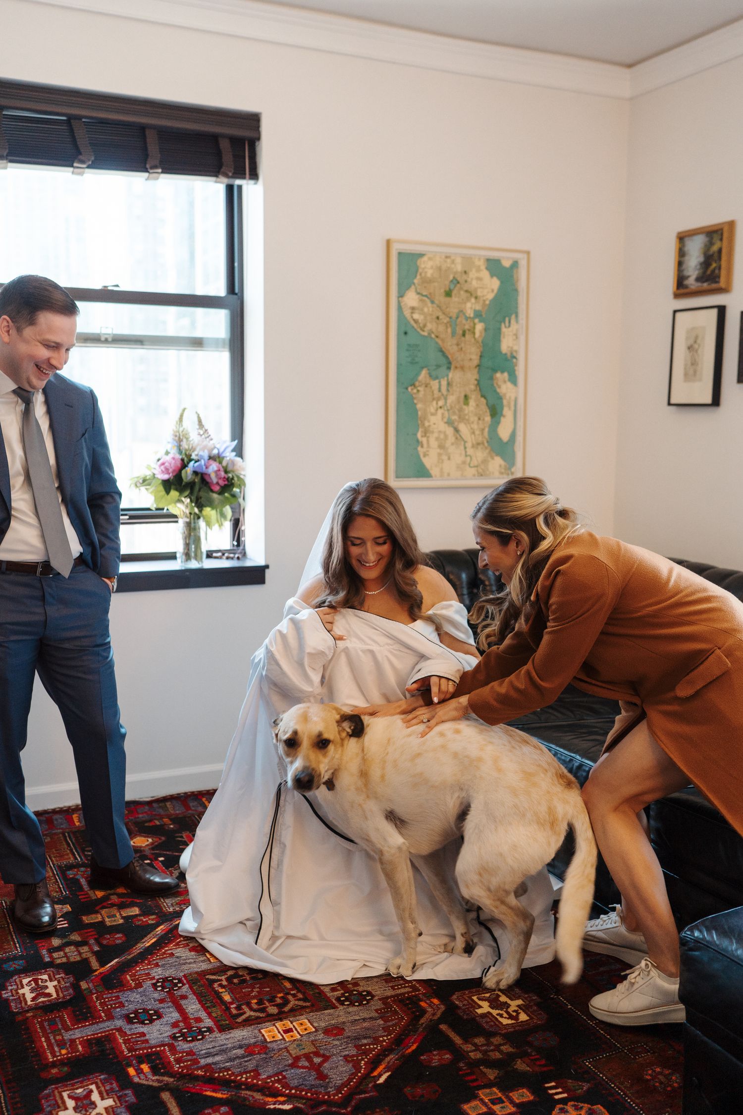 A series of photos showing someone in a brownish jacket petting a white fluffy dog on a patterned red oriental rug.