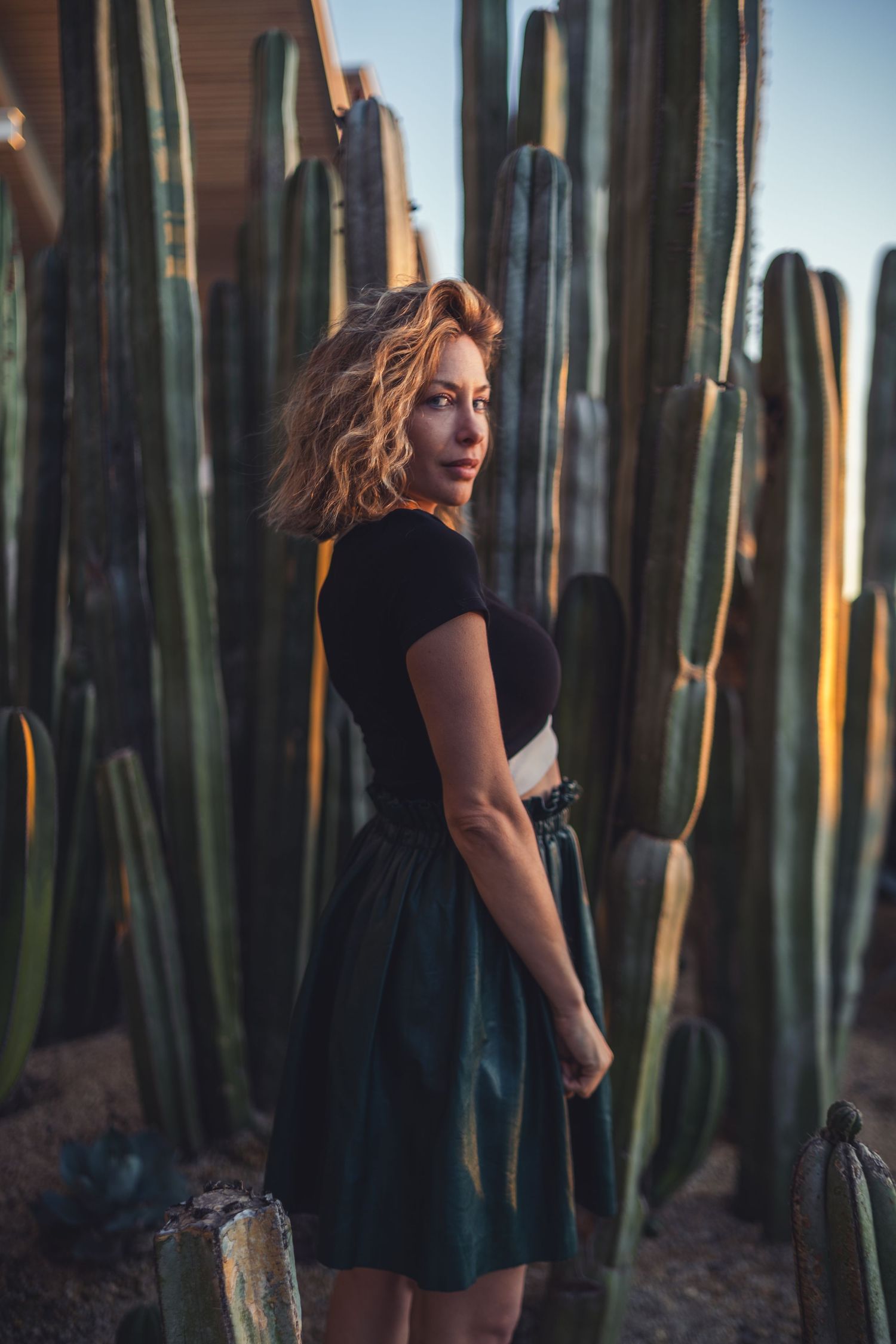 A women in dark clothing walks through a garden of tall columnar cactus plants at sunset in newport beach civic center cactus garden