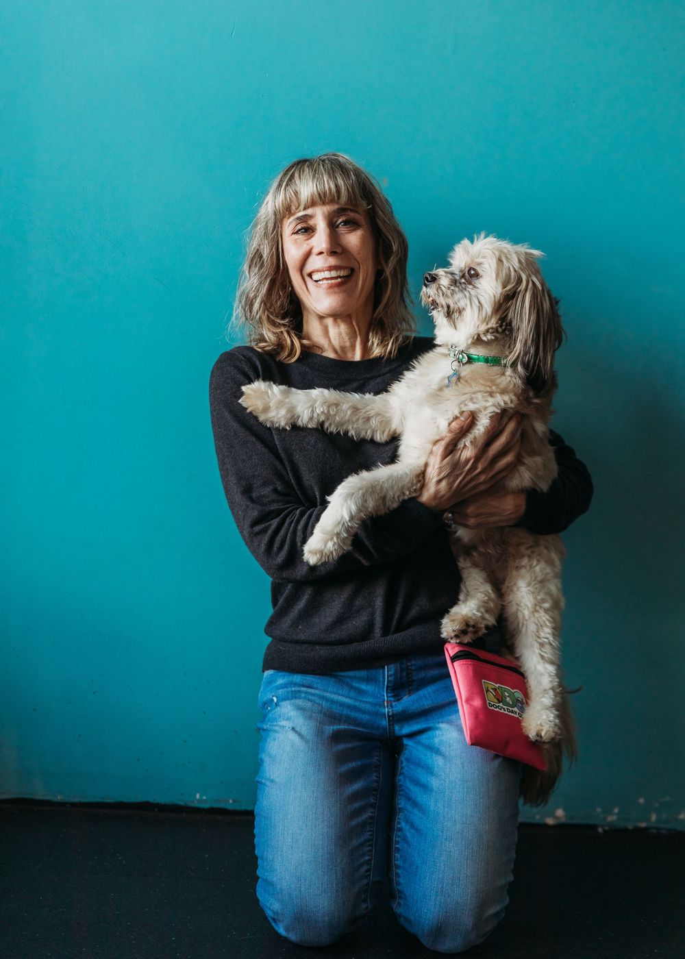 A small fluffy white dog wearing a red cast or bandage is being held by someone in a black sweater against a teal background.