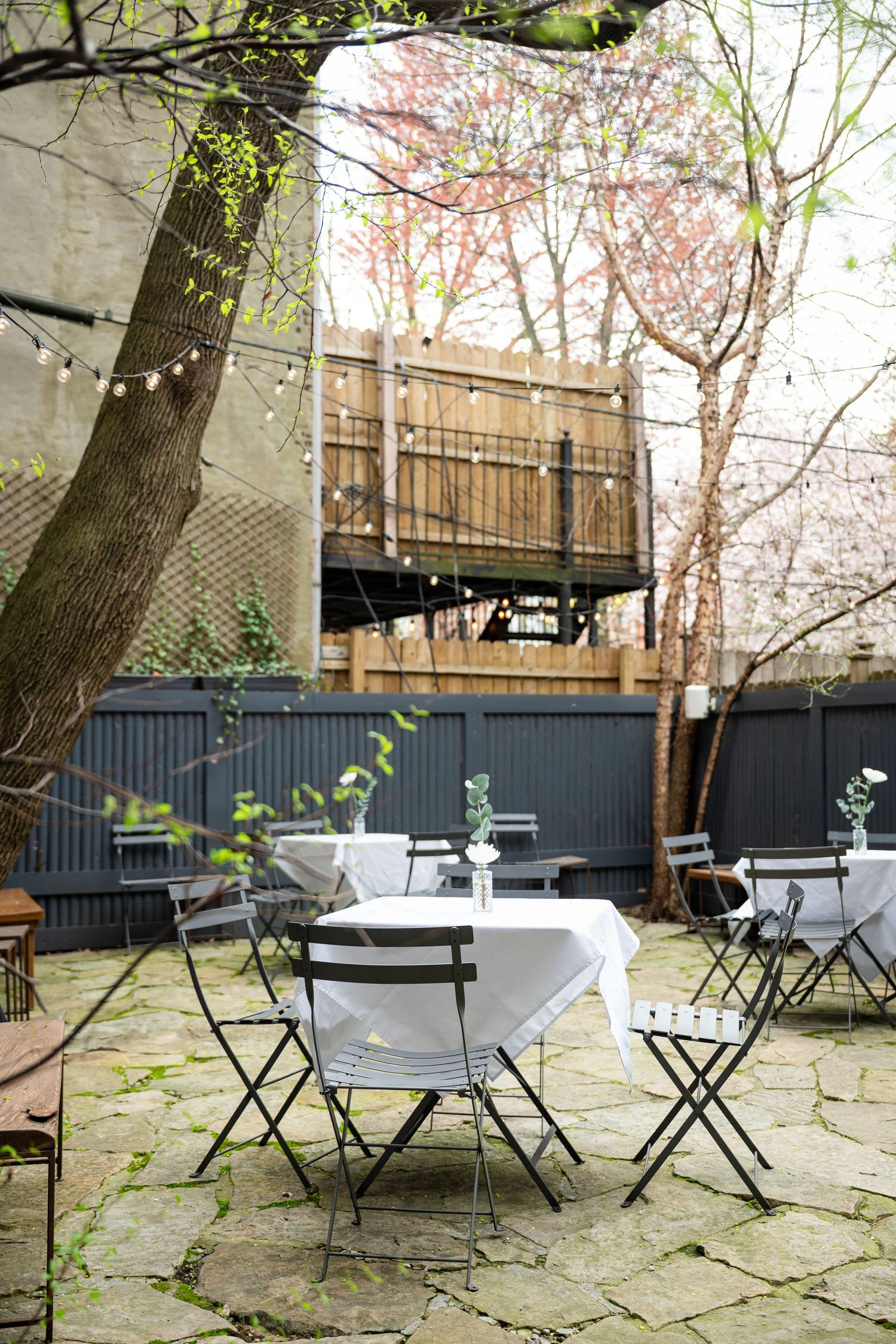 Outdoor dining setup with white tablecloths and black chairs under blooming cherry trees.
