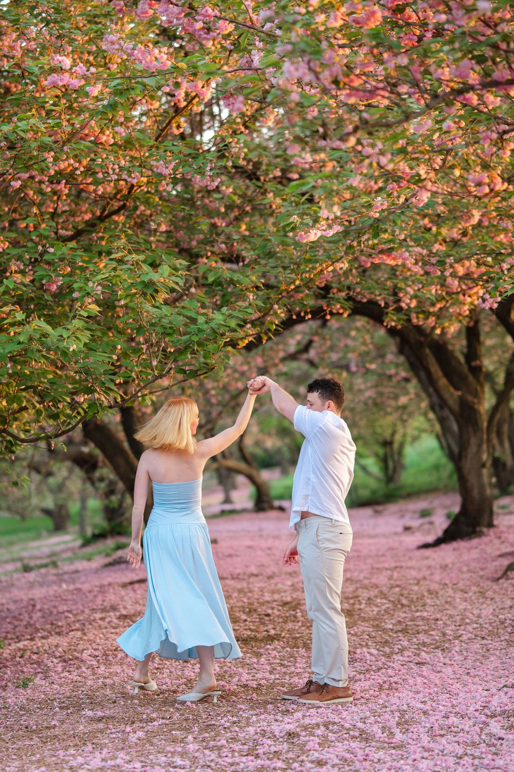 Two people dancing beneath blooming cherry trees on a carpet of fallen pink petals in a spring garden.