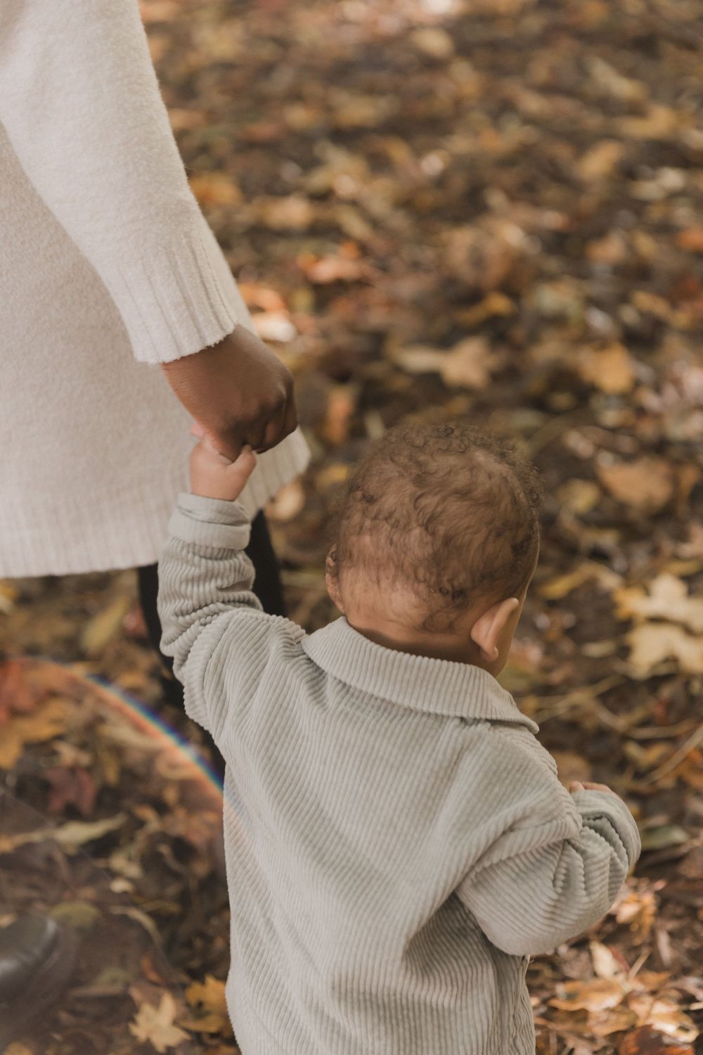 A small child in a gray sweater holds hands with an adult while walking through fallen autumn leaves.