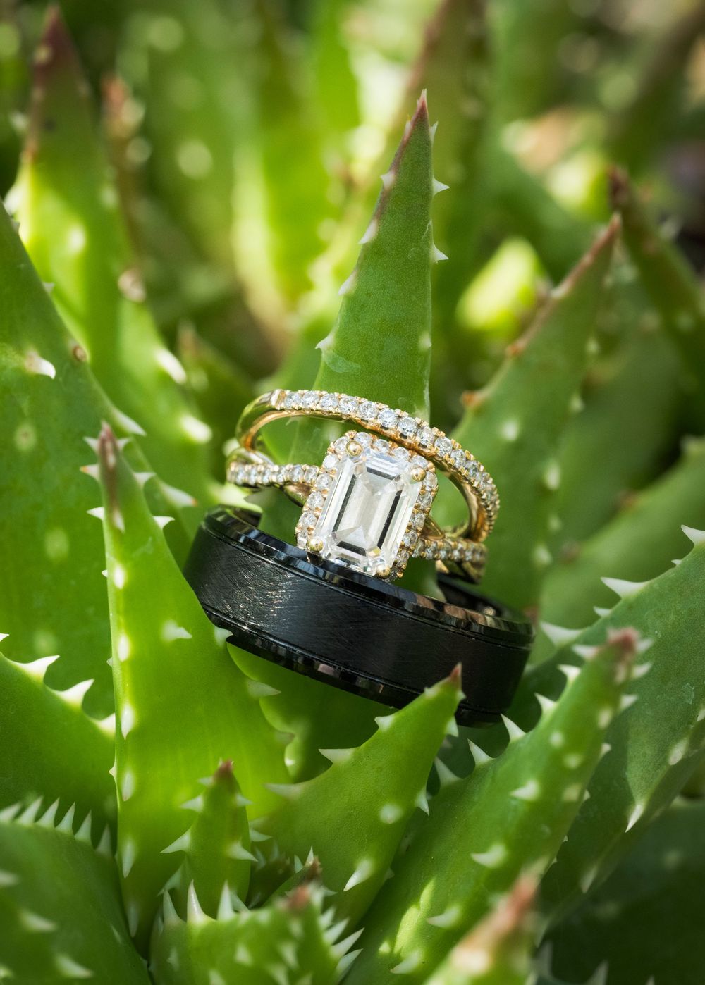 Wedding rings nestled among spiky green succulent leaves, featuring an emerald cut diamond and black band.
