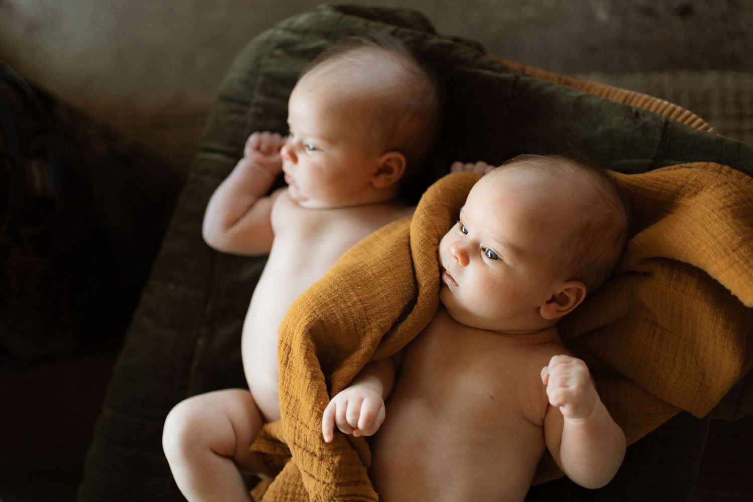 Newborn twin photography session