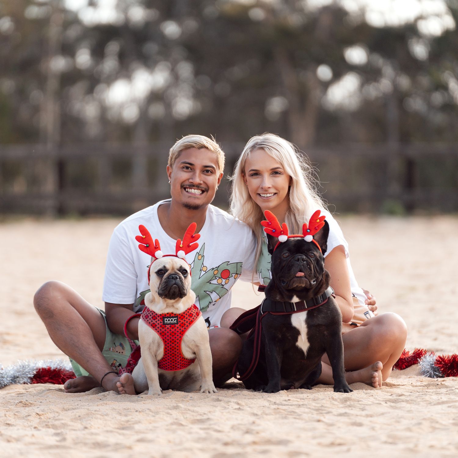 couple and their dogs Christmas mini photoshoot in Rouse Hill