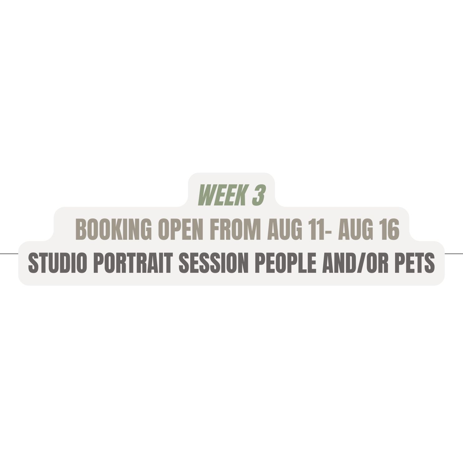 A calendar or schedule showing 'Week 3' and booking dates from August 11-16 for studio portrait sessions.
