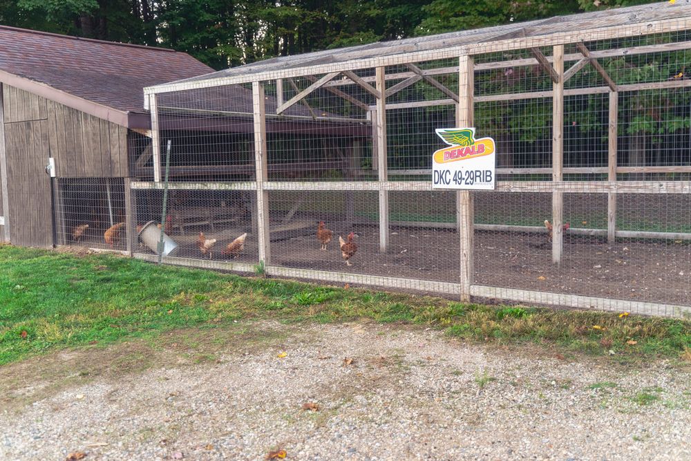 A large chicken coop at the backyard barn wedding of Jasmine and Kevin in South Haven, Michigan.