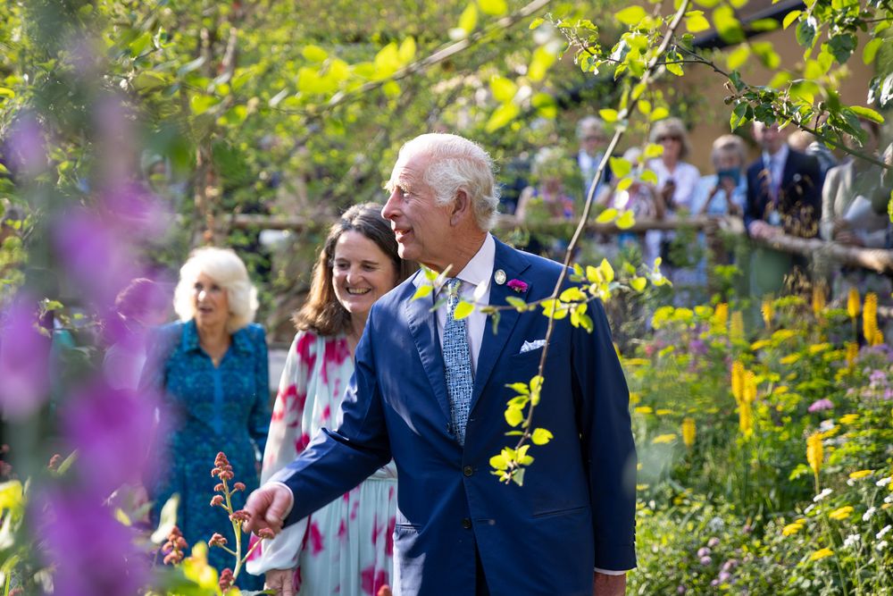 People enjoying a sunny day in a garden with purple flowers and green foliage in the foreground.