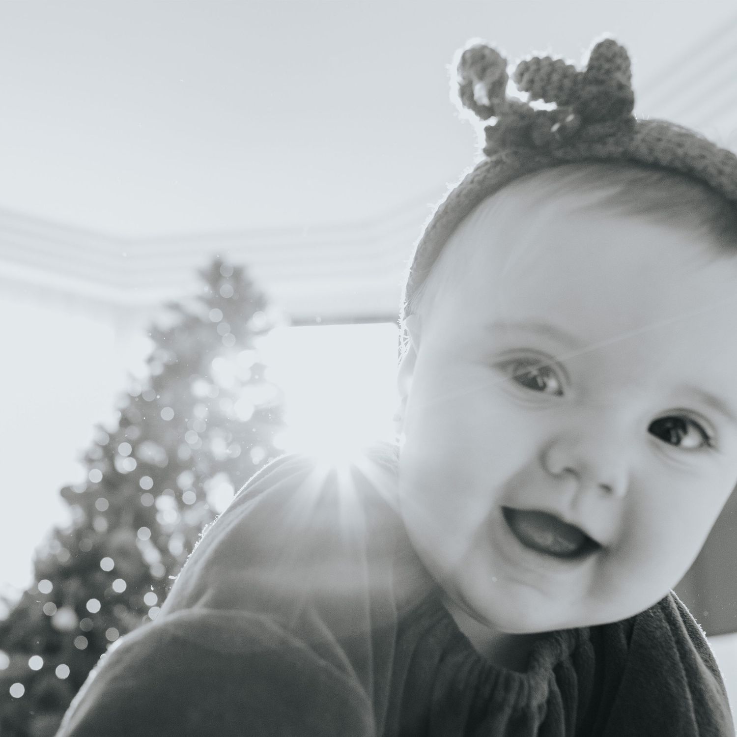 sesión de fotos navideña con bebés