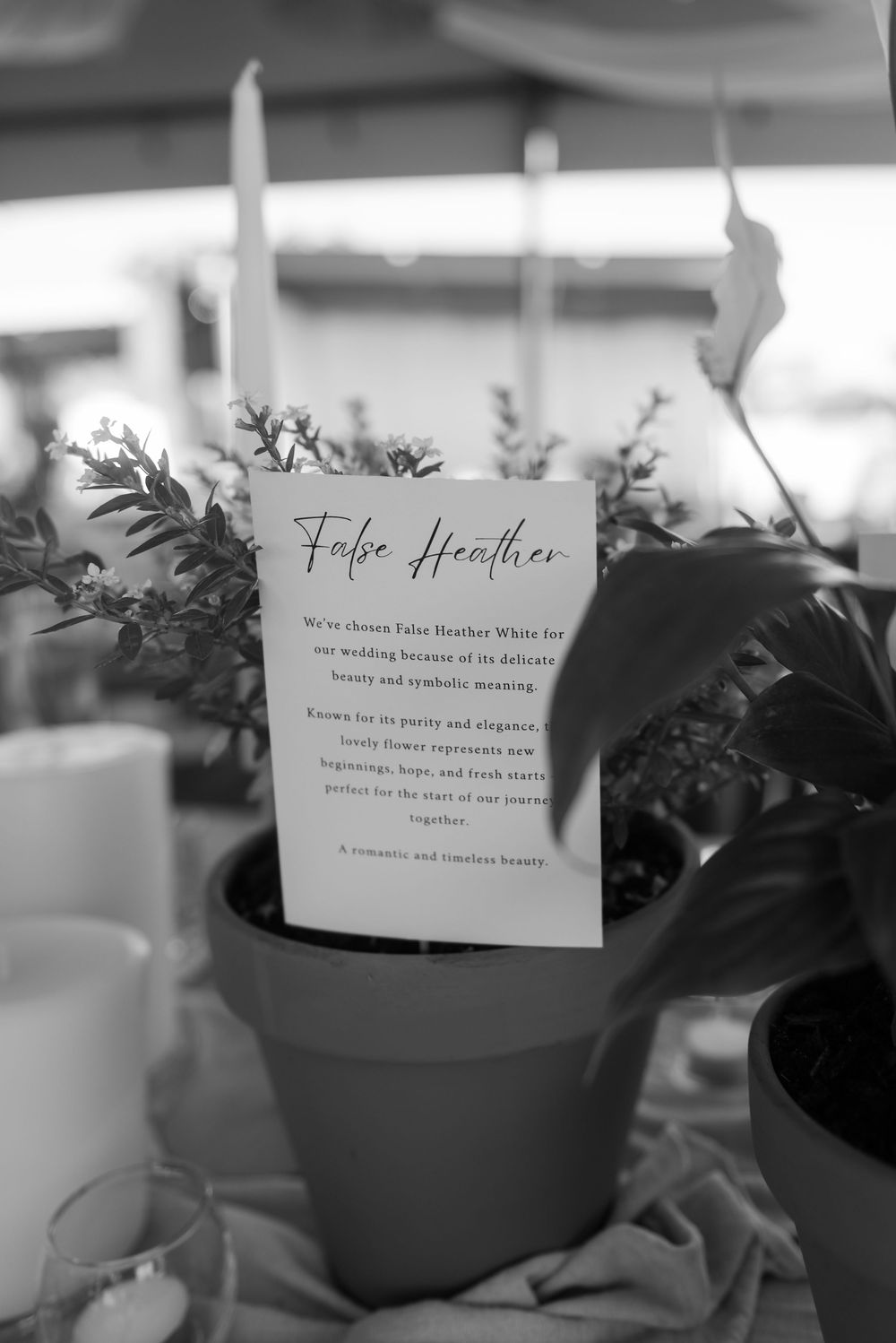KZN Midlands wedding photographer
