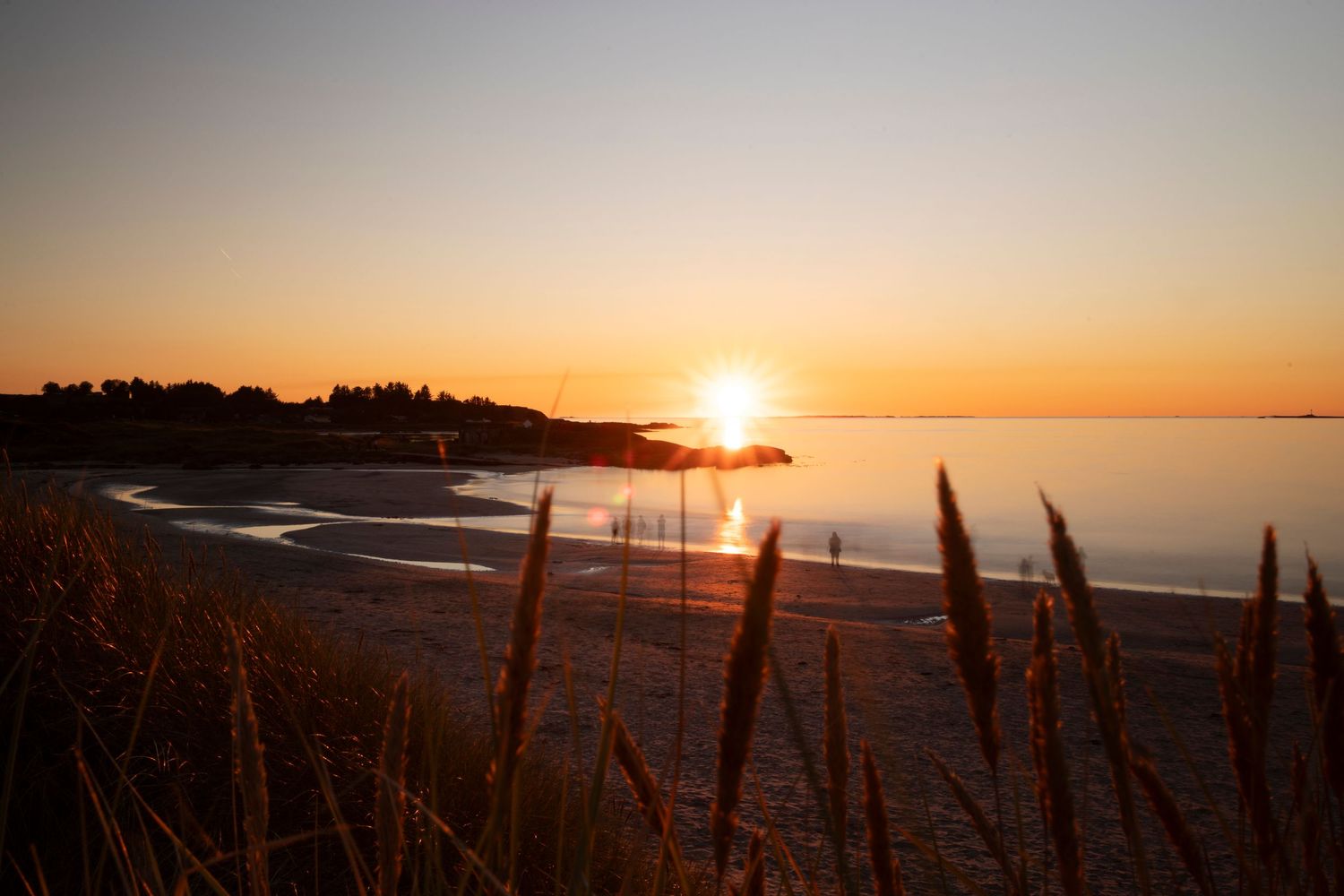 Sunset illuminates a coastal beach landscape with silhouetted sea grass and calm waters along the shoreline.
