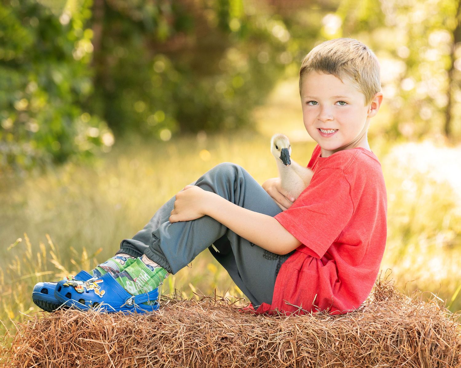 Heidi Harting Photography creates beautiful school portraits on the farm at Jem Learning in Duxbury, MA