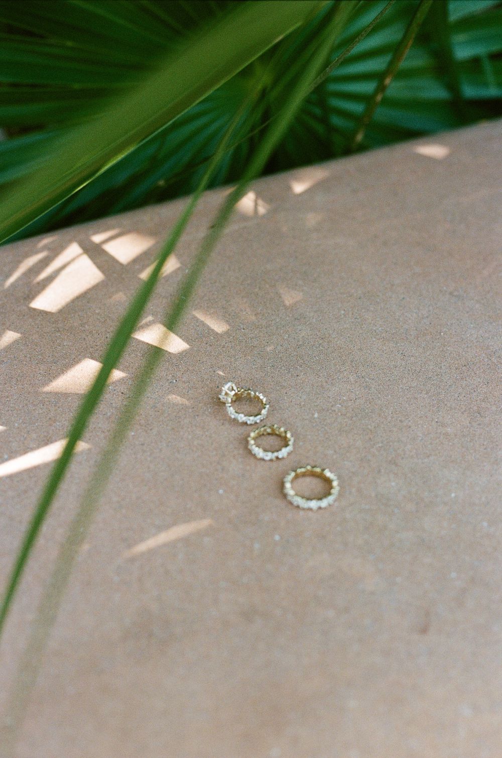 Three delicate diamond rings arranged artistically under palm leaf shadows.