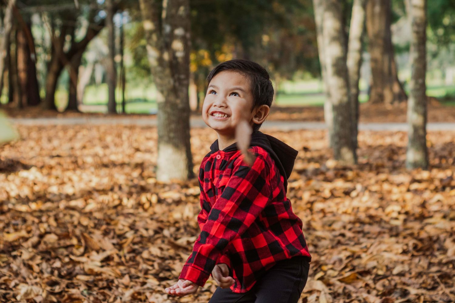 A smiling child in a red buffalo plaid shirt plays among scattered autumn leaves in a park setting. Mini session in Ocala, FL