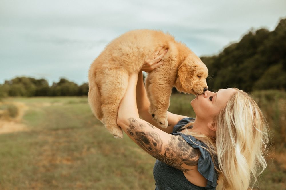 Golden puppy being lifted up in the air against scenic natural background.