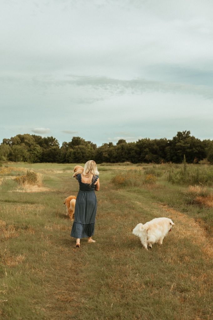Golden retriever runs along a grassy trail through a wildflower field at sunset.