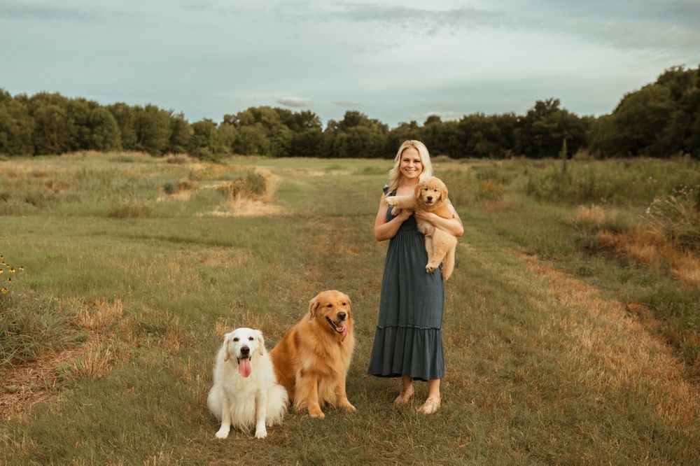 Three dogs and someone in a blue dress stand together in a sunlit grassy field at golden hour.