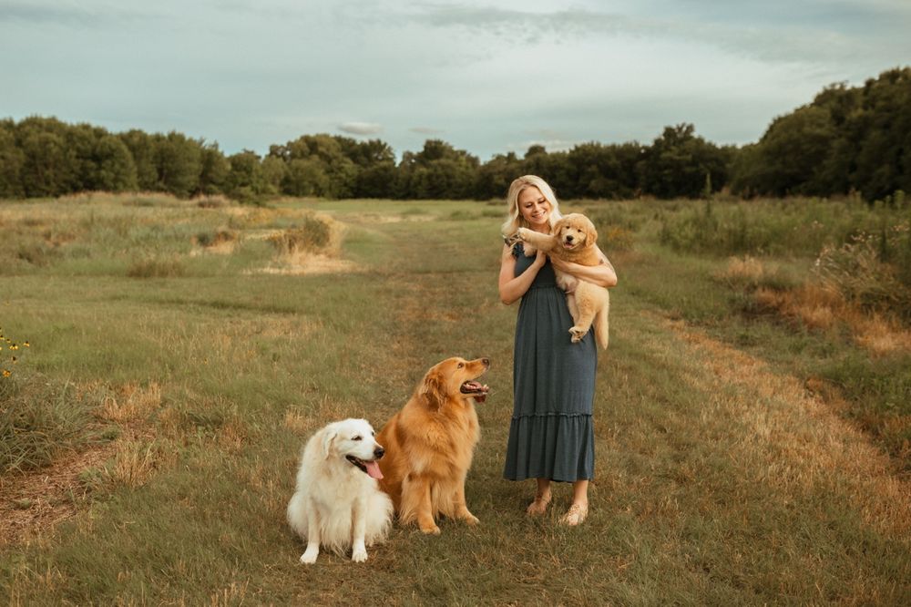Two dogs and their companion enjoying a peaceful afternoon in a grassy field with trees in the background.