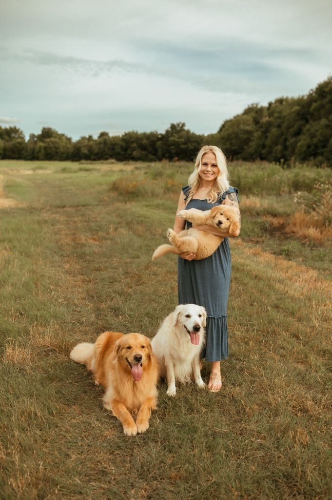 Three adorable dogs pose with their owner in a golden field at sunset with trees in background.