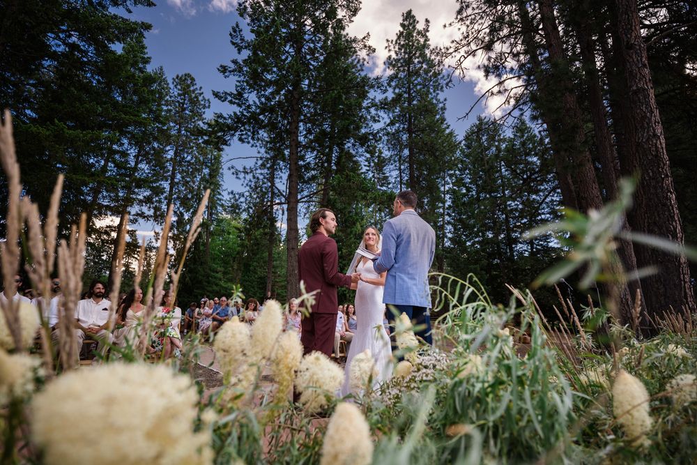 Wedding guests gather outdoors beneath tall pine trees for a summer mountain ceremony in the dappled sunlight.