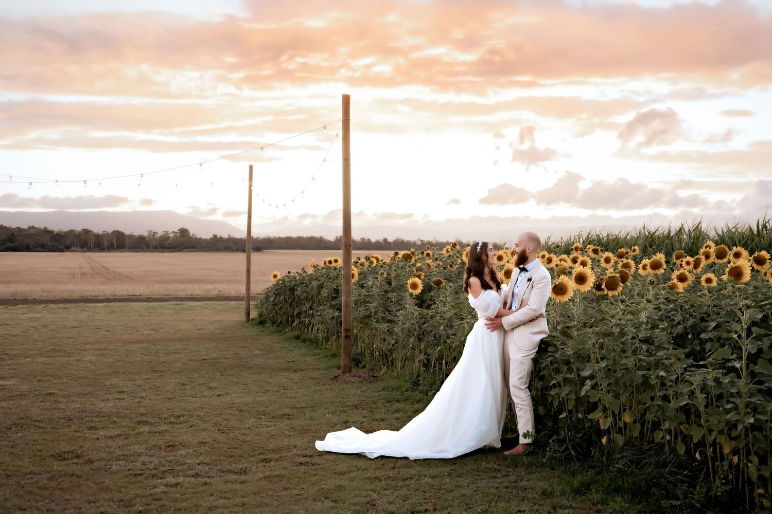 Wedding couple poses next to sunflower field during golden hour sunset.