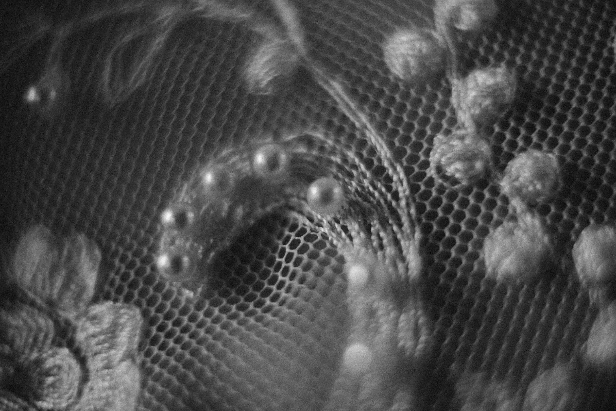 Abstract black and white macro photograph of lace or textile pattern with circular details.