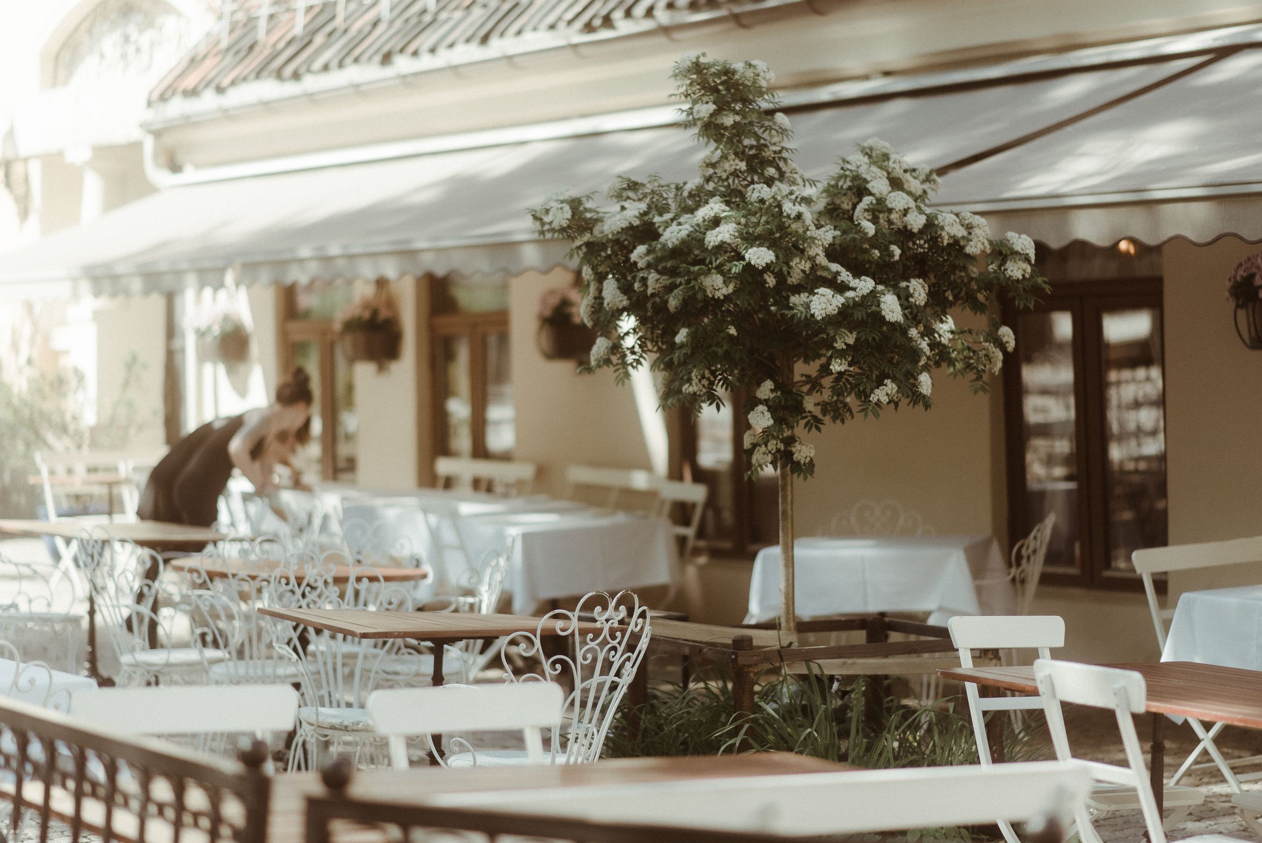 An outdoor cafe terrace with white chairs and tables under hanging plants.