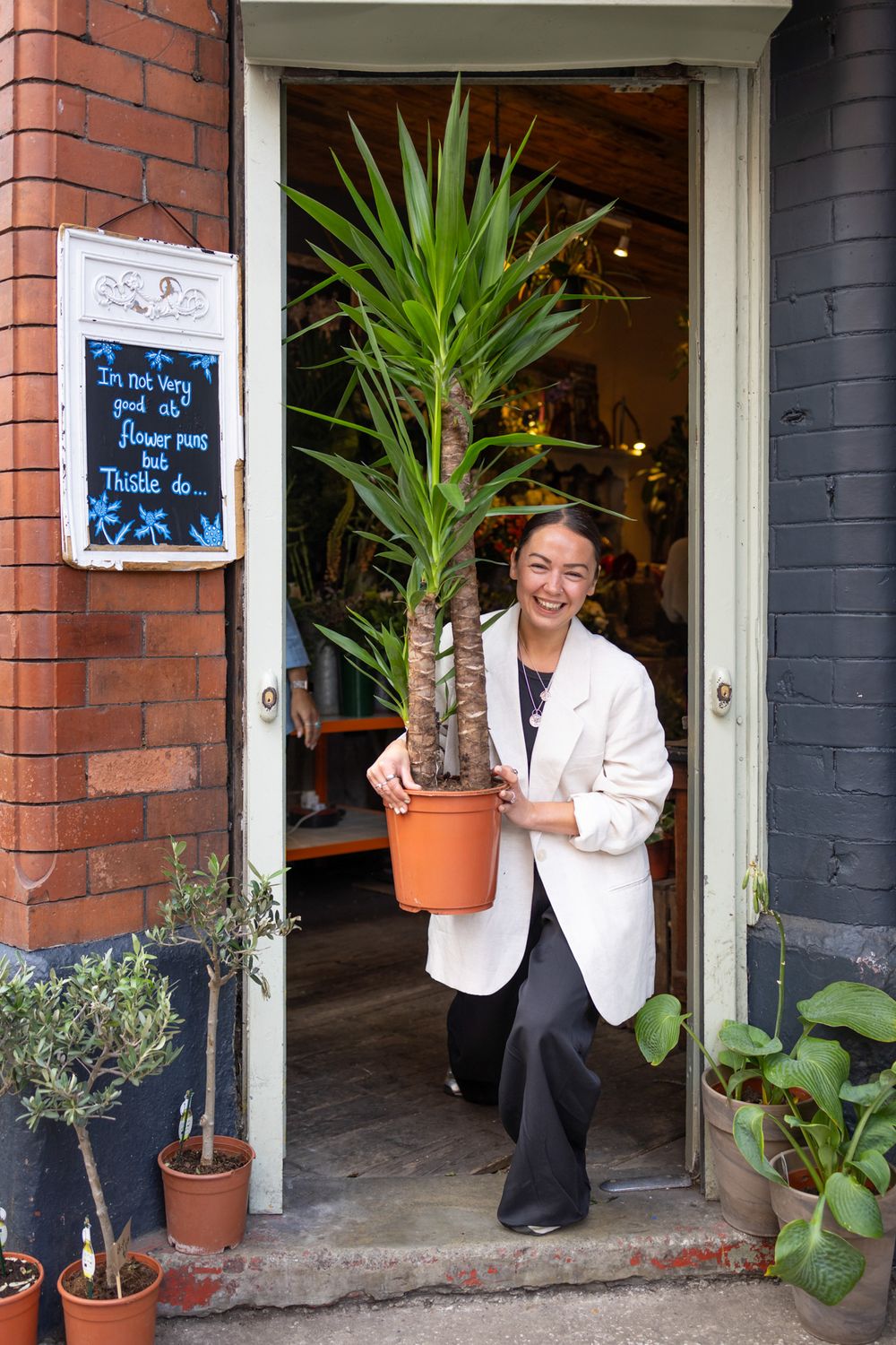 An entryway to a store with brick walls and a large potted yucca plant by the doorway.