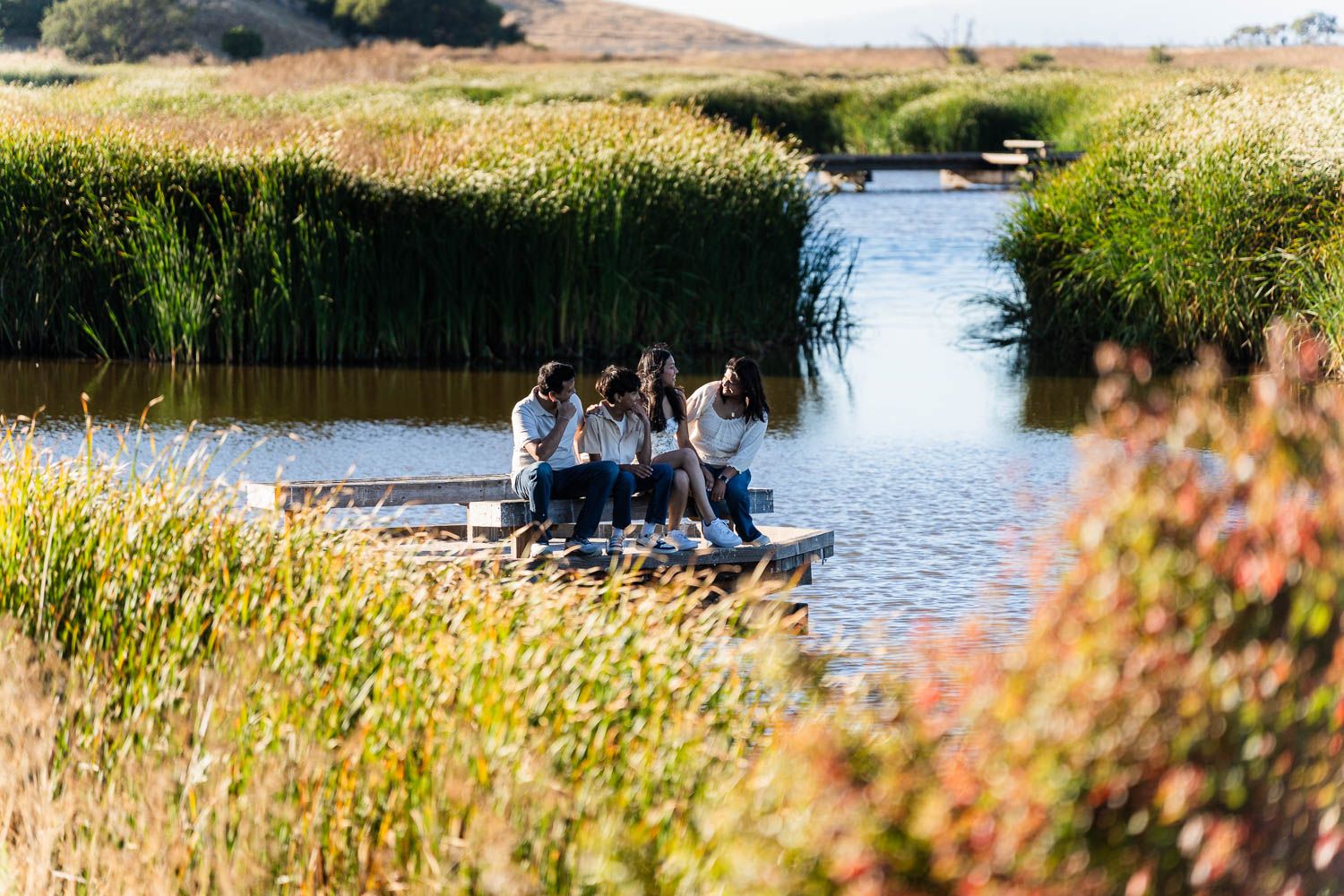 Peaceful waterside scene with tall reeds and wildflowers along a tranquil lake on a sunny summer day.