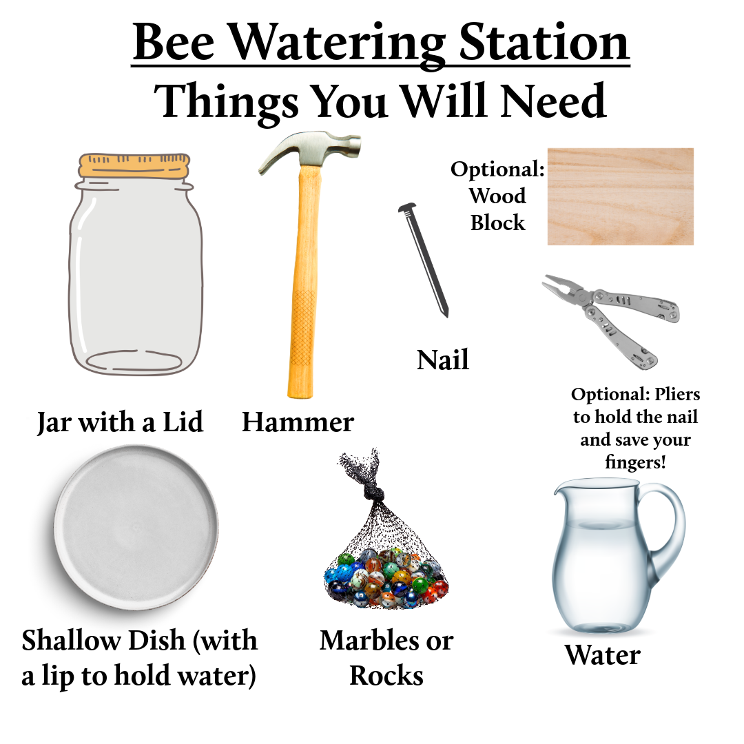 Illustrated instructions for making a bee watering station showing required materials like jars, marbles, water and dishes.