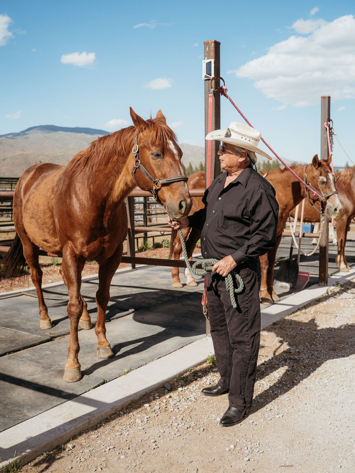 A brown horse stands tied to a hitching post while being tended to in a desert ranch setting.