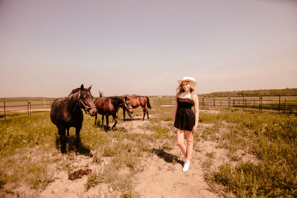 A woman in black dress stands near grazing horses in a fenced pasture under warm summer sky.