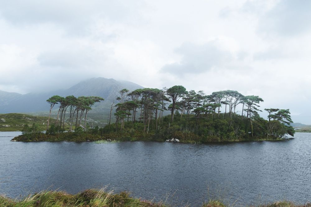 île douze pines sur le lac derryclare lough dans le comté de connemara galway irlande