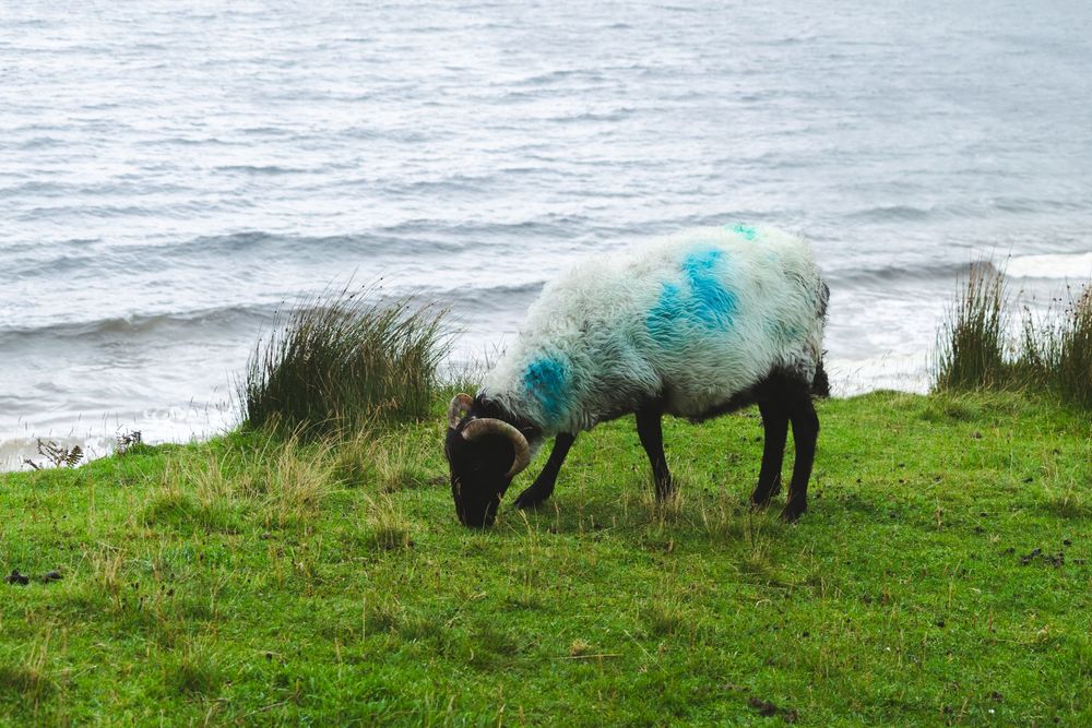 Keem Bay - road trip irlande en van