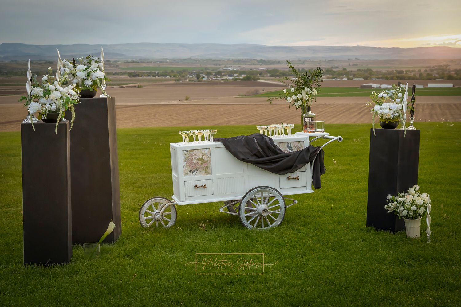 Beverage Cart Idaho Tipsy Trailers with black pillars topped with white florals