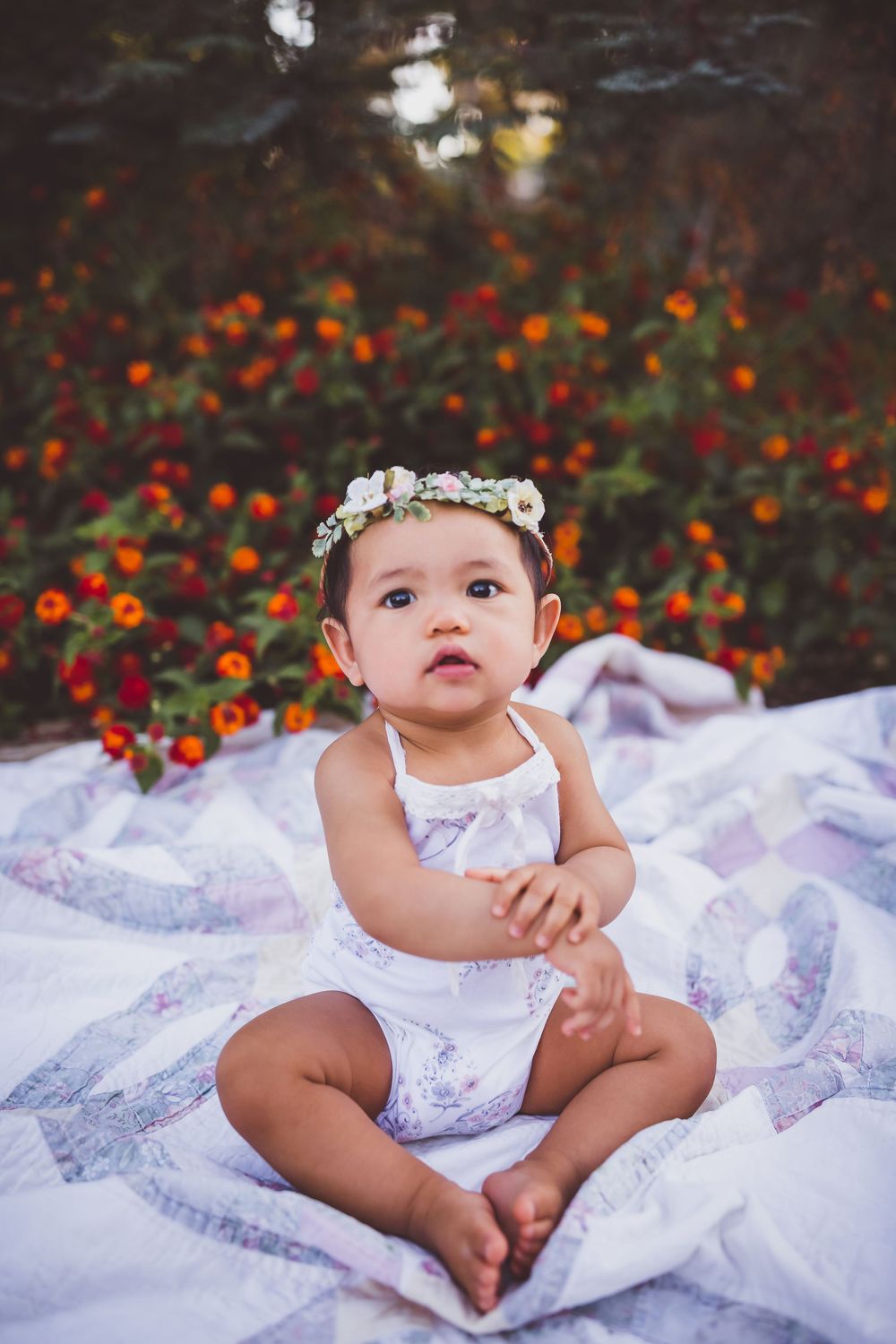 A baby in a white lace outfit and floral crown sits on a blanket with red wildflowers blooming in the background.