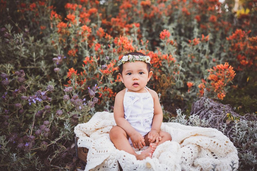 Baby in white lace dress and floral headband sitting among red and purple wildflowers in natural setting.
