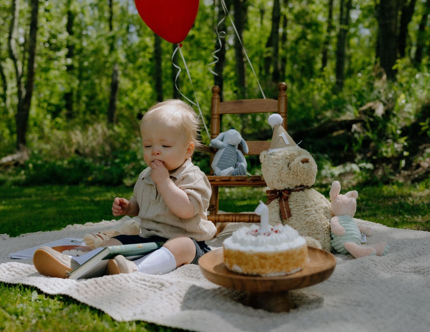 Outdoor picnic setup with red balloon, teddy bears and birthday cake.