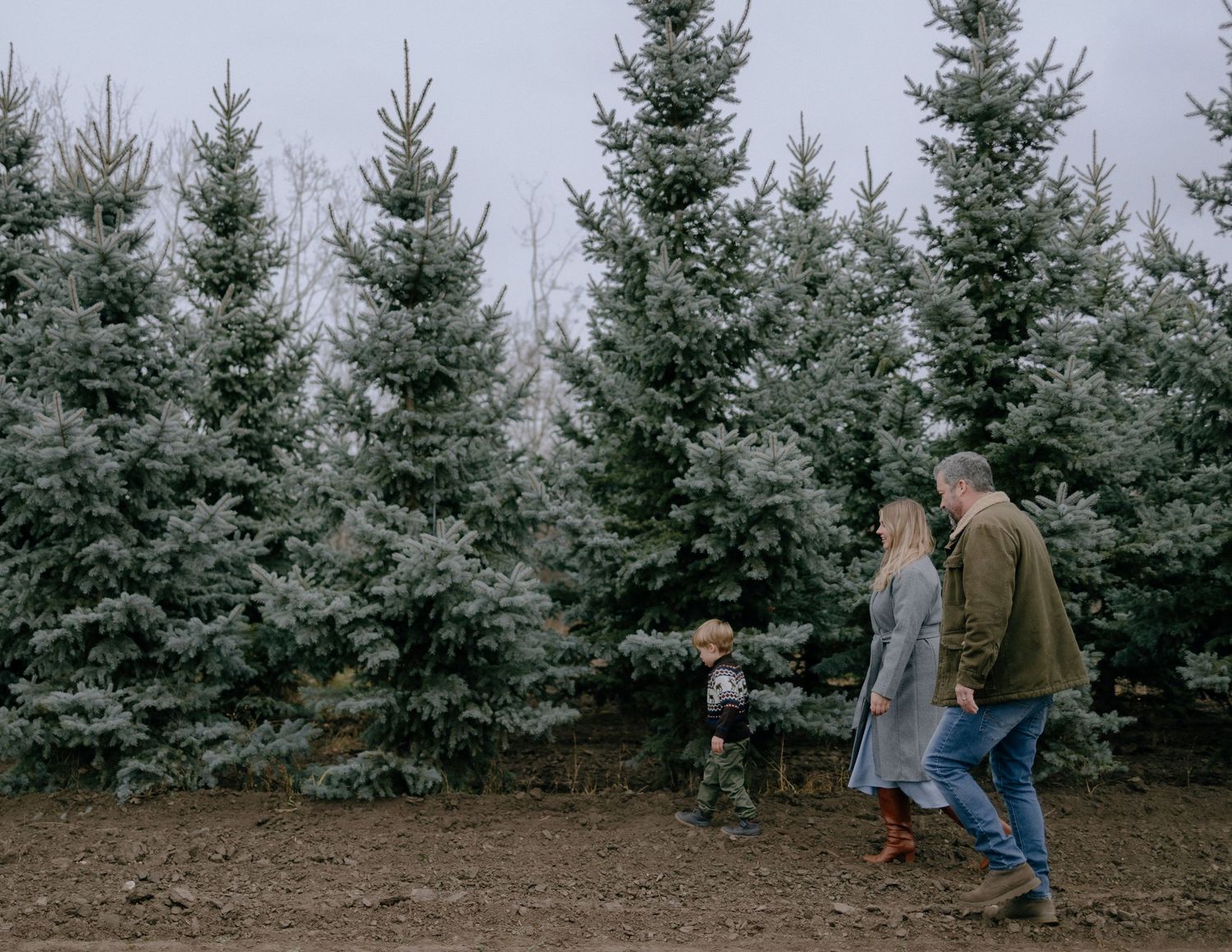 A family explores together among tall evergreen trees in a Christmas tree farm setting.